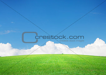 Green grass field and blue sky with clouds on horizon