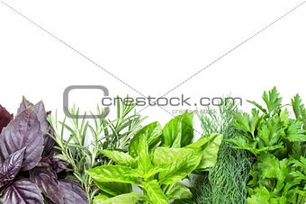 Fresh garden herbs
