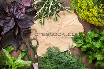 Fresh garden herbs and piece of paper