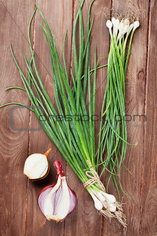 Fresh garden spring onion