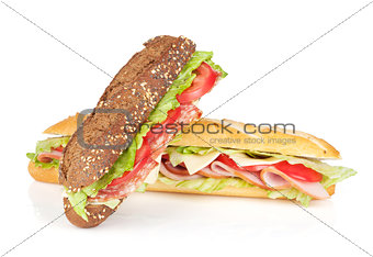 Fresh sandwiches with meat and vegetables