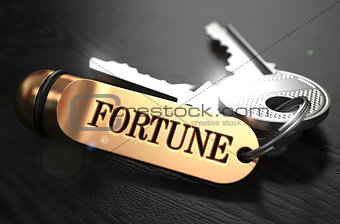 Keys to Fortune. Concept on Golden Keychain.