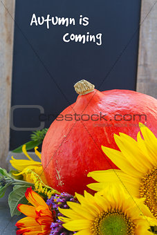 fall sunflowers with pumpkin