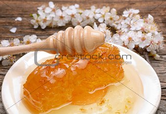 Honey, honeycomb and apricot flower