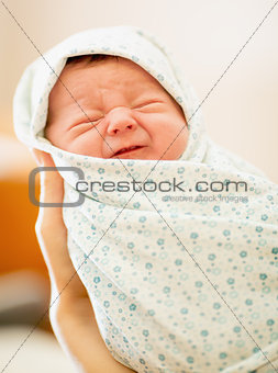 Portrait of Newborn Baby