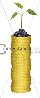 Plant on gold coins stack