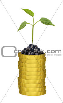 Green plant on gold coins stack