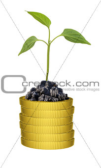 Green plant on coins stack