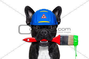 handyman painter   dog