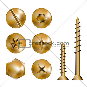 gold screw heads