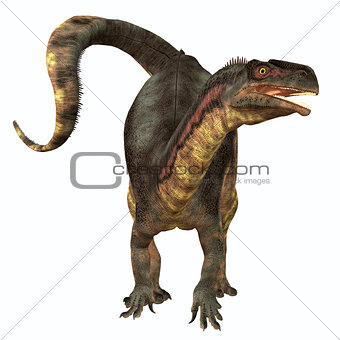 Plateosaurus Herbivore Dinosaur