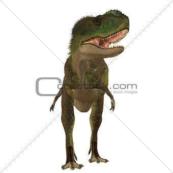 Rugops Carnivore Dinosaur