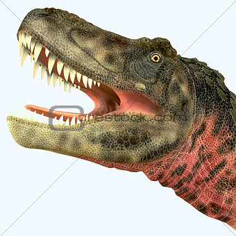 Tarbosaurus Dinosaur Head