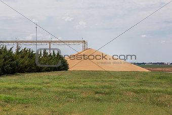  hard red winter wheat - big pile