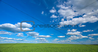 Sky and field 