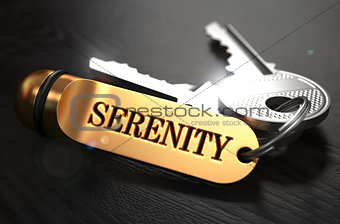 Keys with Word Serenity on Golden Label.