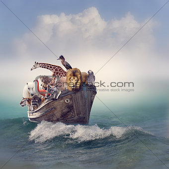 Animals in a Boat