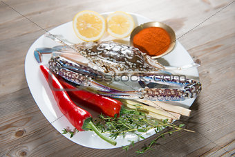 Raw blue crab and ingredients on white plate