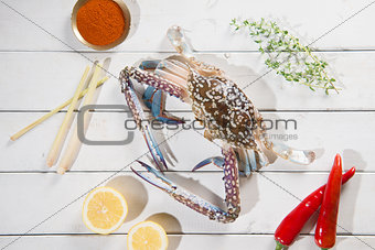 Top view raw blue crab and ingredients