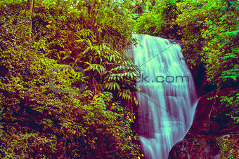 Waterfall in jungles