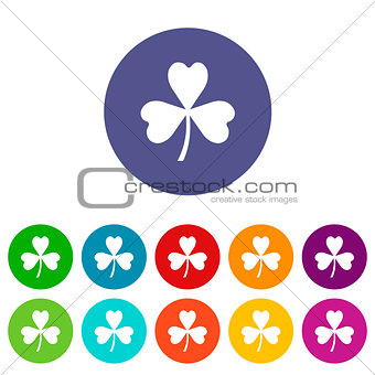 Clover flat icon