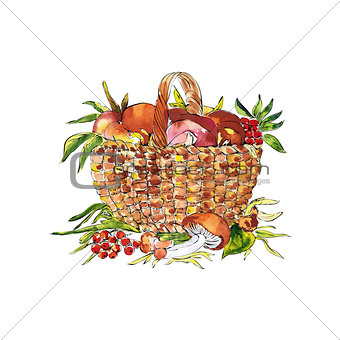 sketch illustration of basket with mashrooms