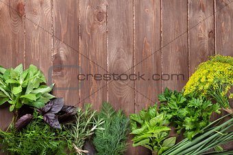 Fresh garden herbs