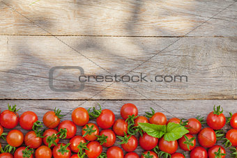 Ripe cherry tomatoes and basil