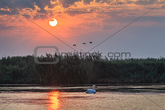 sunrise in the Danube Delta, Romania
