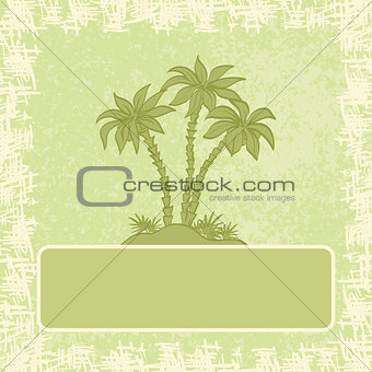 Exotic background, palm and frame