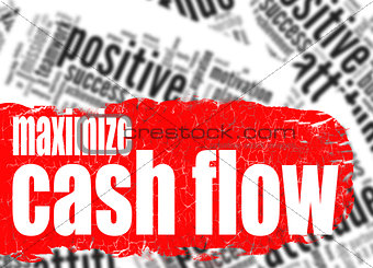 Word cloud maximize cash flow