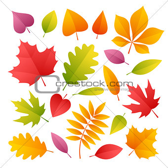 Set of Colorful Autumn Leaves