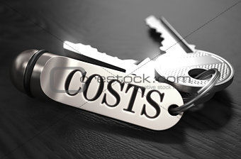 Costs Concept. Keys with Keyring.