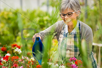 Mature woman watering flowers