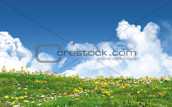 3D landscape with buttercups and daisies