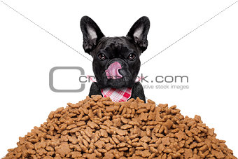 hungry dog  behind mound food