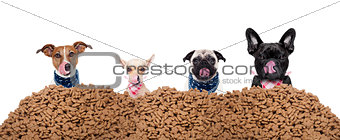 group of dogs behind mound food