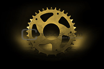 Golden Bicycle chainring