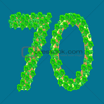 Figure seventy 70 anniversary celebration tropical island