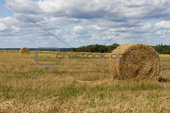 Agriculture straw gathered into a sheaf field harvest sky
