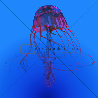 Red Glowing Jellyfish