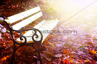 empty bench autumn park