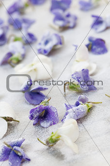 Candied violets