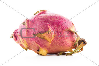 Pitaya or Dragon Fruit 