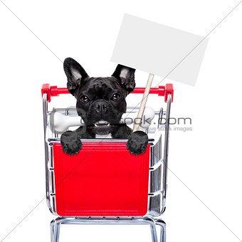 shopping cart dogs