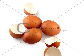 Eggs and eggshell on white background