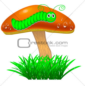 Mushroom with a caterpillar in the grass