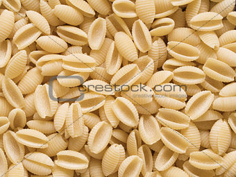 italian uncooked gnocchetti sardi pasta food background