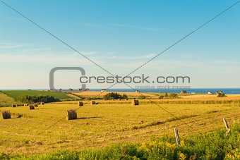 PEI rural scene