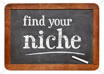 Find your niche advice on blackboard